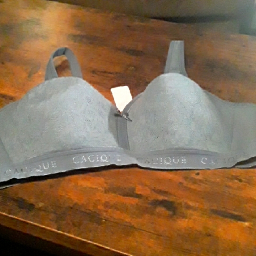 NWOT 42C CACIQUE Grey Gorgeous  And Stunning Padded Wirefree Bra